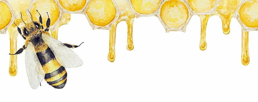 jad pszczeli - właściwości